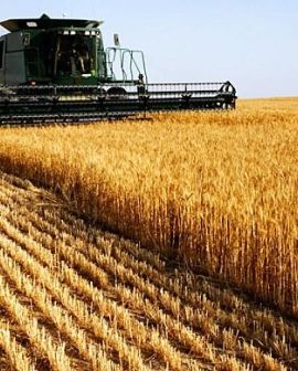 Imagem de Agro bate recorde no Brasil, e Rio Verde lidera exportações de Goiás