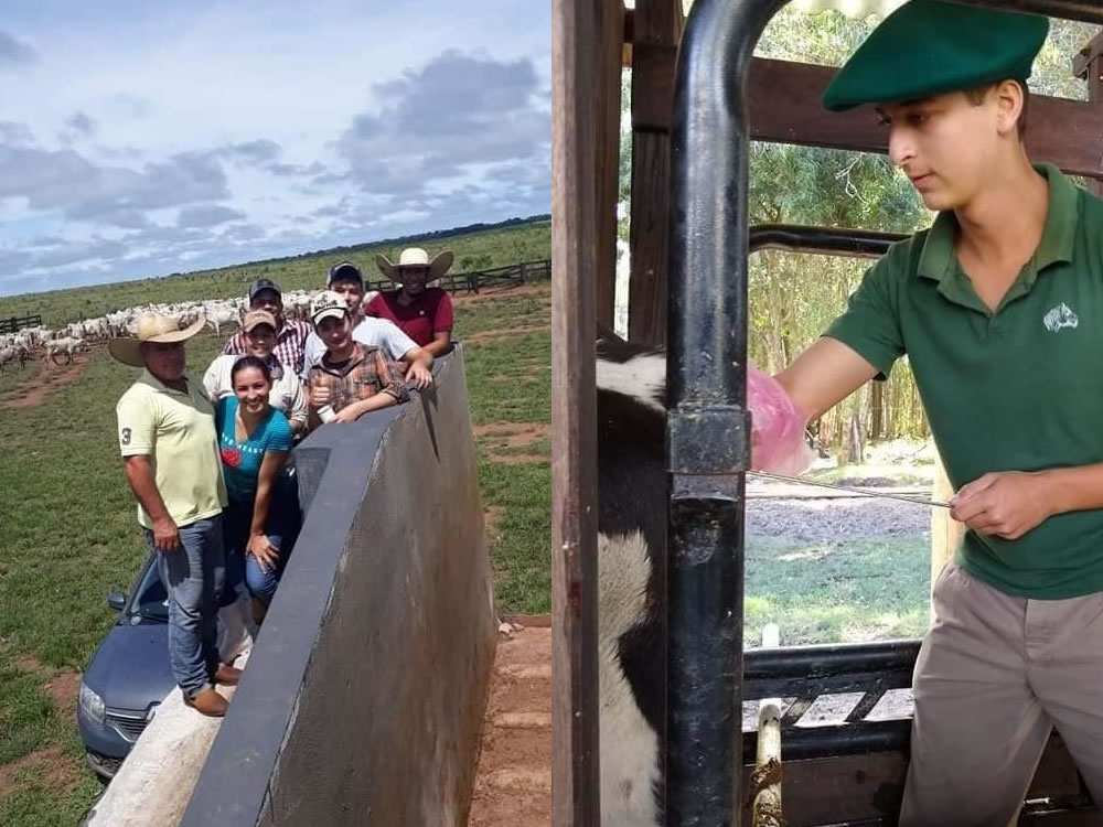 Imagem de Rio Verde recebe um dos cursos de Auxiliar Veterinário mais completos do mercado