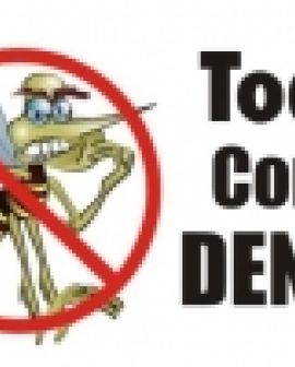 Imagem de Força-tarefa lançada contra a dengue