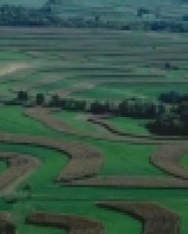 Imagem de Alta produtividade é suficiente na agricultura?