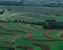 Imagem de Alta produtividade é suficiente na agricultura?