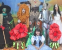 Imagem de O encanto da terra de Oz