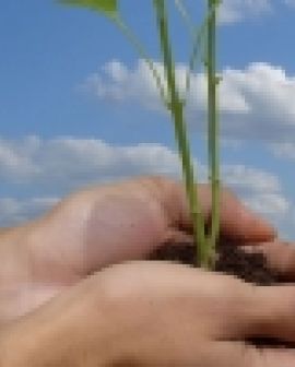 Imagem de Rio Verde sediará a 2ª Conferência Municipal de Meio Ambiente