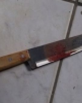 Imagem de Morte na Vila Amália