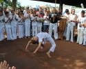 Imagem de Capoeira educando pessoas