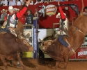 Imagem de Enéas Barbosa foi destaque na 3ª noite de rodeio