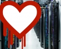 Imagem de Após 'heartbleed’ é recomendável trocar senhas