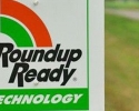 Imagem de Roundup Ready Plus mostra nova ferramenta para o manejo de plantas daninhas