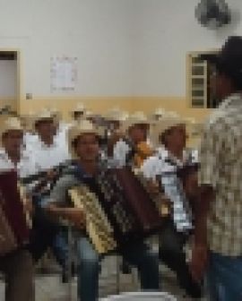 Imagem de Quirinópolis tem sua orquestra de sanfoneiros