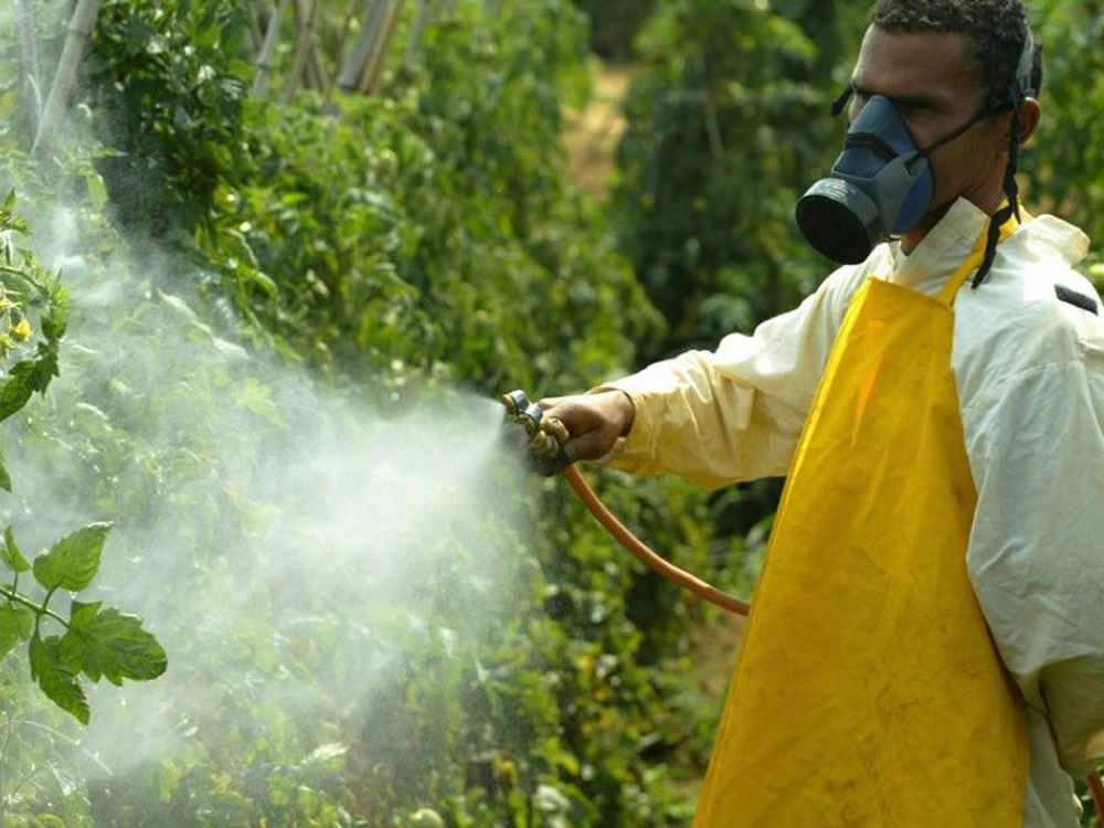 Imagem de Comendo veneno: intoxicação por agrotóxico dobra em dez anos e atinge 115 mil pessoas no Brasil