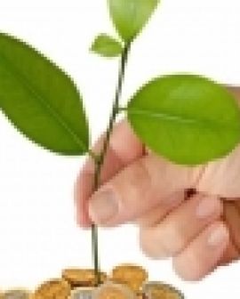 Imagem de A visão em torno da Bioeconomia