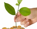 Imagem de A visão em torno da Bioeconomia
