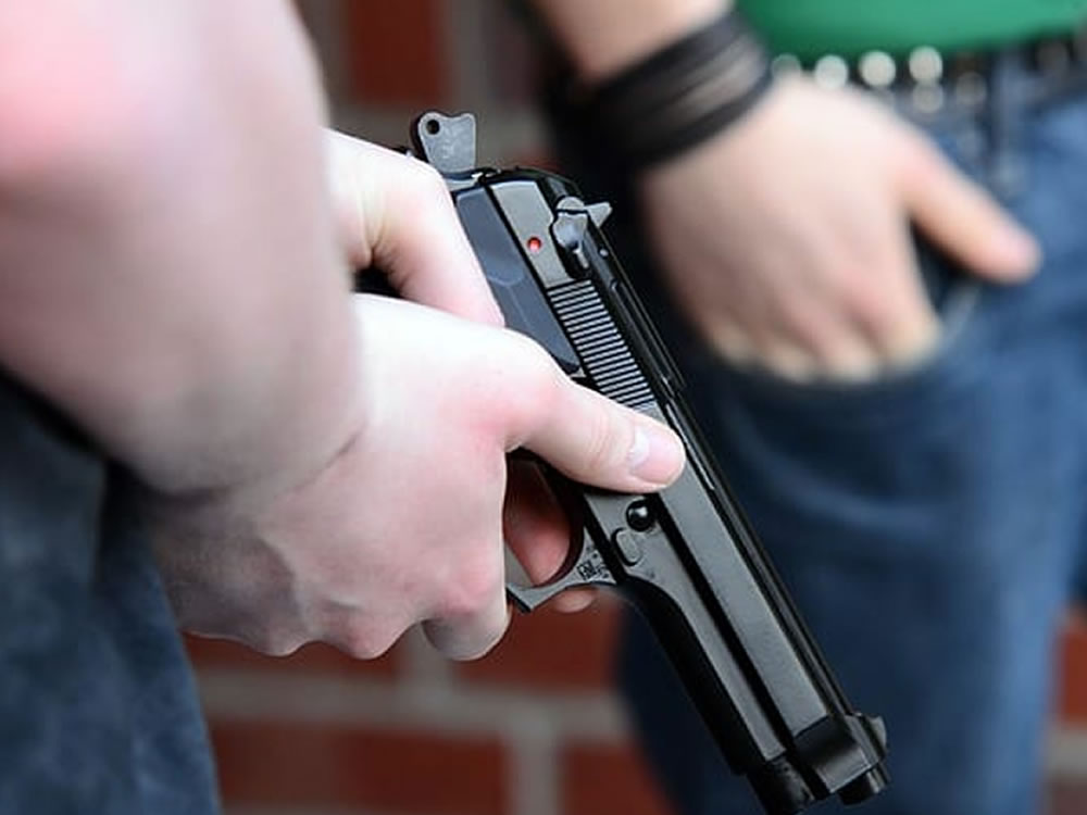 Imagem de MPF pede suspensão de concessões e processos para aquisição de arma de fogo, em Rio Verde