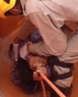 Imagem de Bombeiros resgatam vítima presa em máquina agrícola