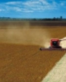 Imagem de Nó logístico deve travar produção agrícola
