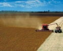 Imagem de Nó logístico deve travar produção agrícola