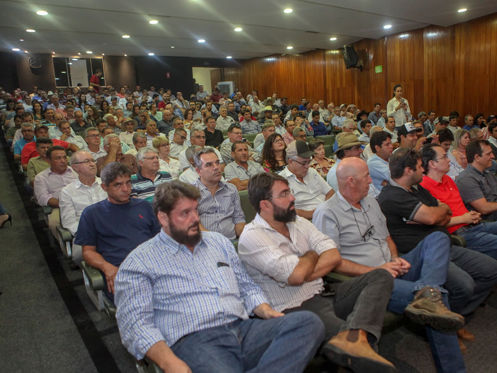 Imagem de Redução no preço do leite pago ao produtor desmotiva pecuária leiteira em Goiás