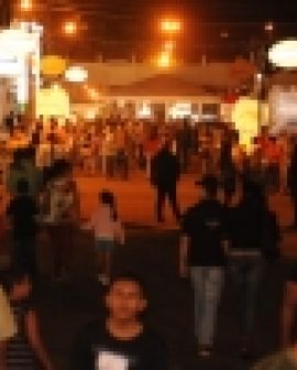 Imagem de Pecuária 2013: Sindicato promete novidades