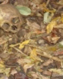 Imagem de Ossada encontrada no Monte Sião