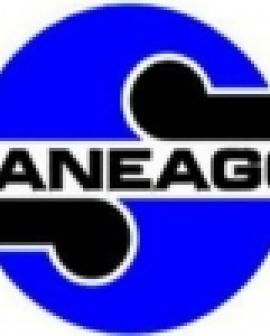 Imagem de Trabalhadores da SANEAGO não querem privatização