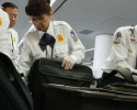 Imagem de Usar o celular dentro do avião é mesmo perigoso?