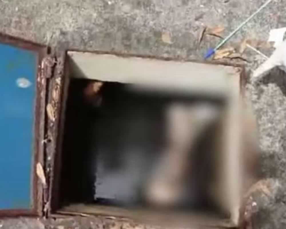 Imagem de Jovem assassinado no Dom Miguel