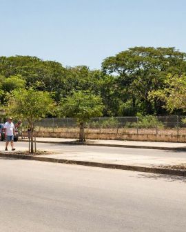 Imagem de Rio Verde tem alta taxa de arborização no IBGE, mas moradores dizem que falta sombra nas ruas