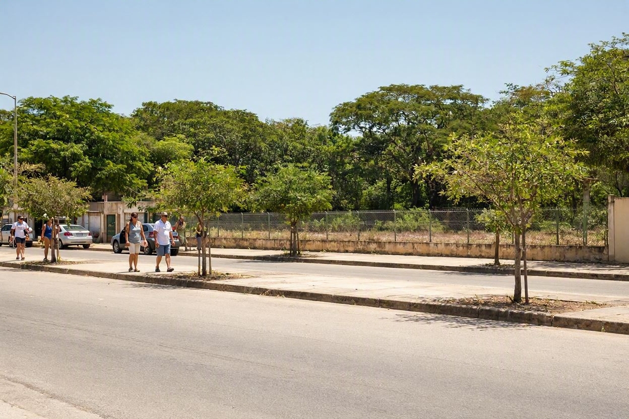 Imagem de Rio Verde tem alta taxa de arborização no IBGE, mas moradores dizem que falta sombra nas ruas