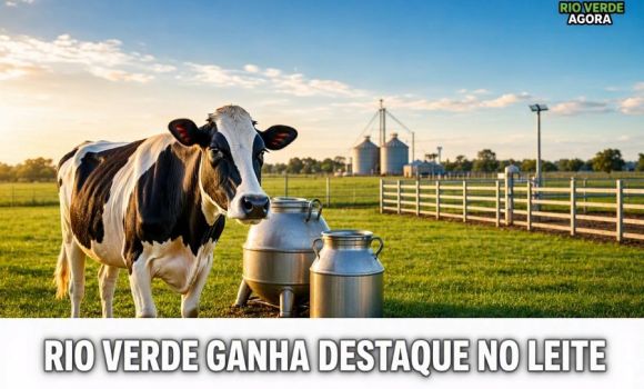 Imagem de Rio Verde aumenta produção de leite em 17% e assume segunda posição em Goiás
