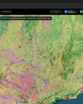 Imagem de Plataforma libera consultas gratuitas sobre situação fundiária e ambiental de imóveis rurais