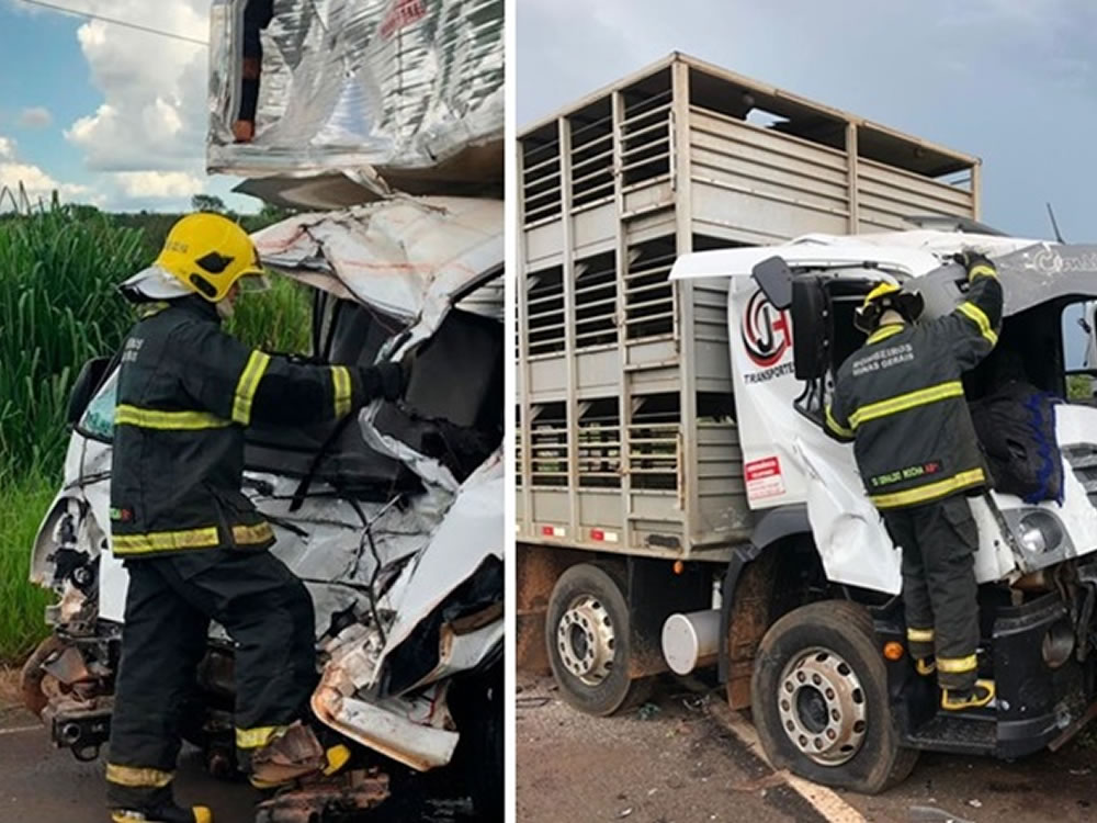 Imagem de Motorista de Rio Verde morre em acidente na BR-365