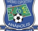 Imagem de Grêmio Anápolis começa a ser montado
