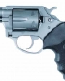 Imagem de Homem detido com arma de fogo