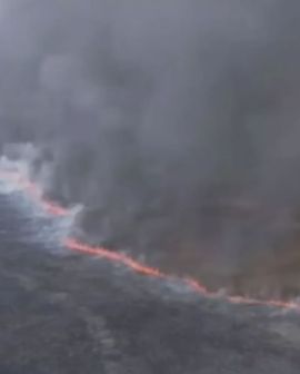 Imagem de Parte do Parque Nacional das Emas é destruído pelo fogo