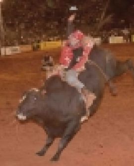Imagem de Pecuária 2012: Evandro Constantino reage e assume liderança no Rio Verde Rodeio