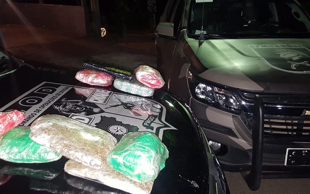 Imagem de Cão farejador encontra maconha em mala e mulher é presa em Rio Verde