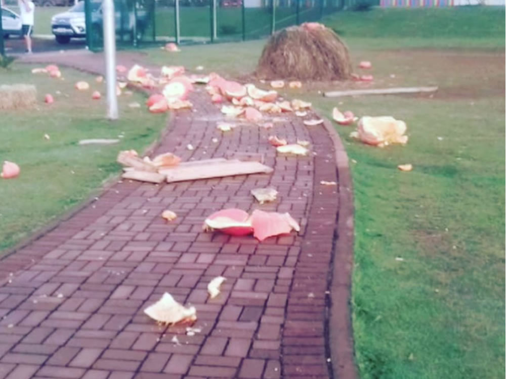 Imagem de Polícia identifica vândalos que depredaram Parque Dona Gercina, em Rio Verde