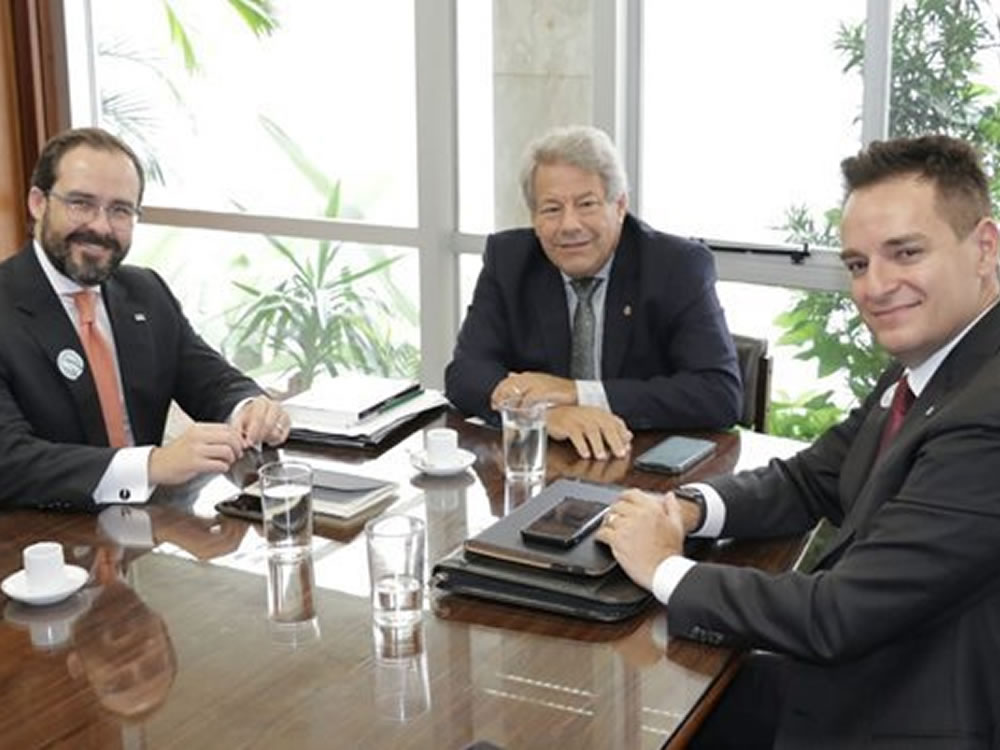 Imagem de Senador e OAB Goiás firmam parceria para discutir Projeto Anticrime