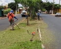 Imagem de Preparando-se para o Natal