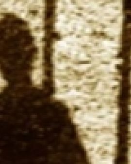 Imagem de Polícia prende ladrões na Promissão