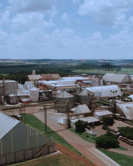 Imagem de Cooperativismo goiano dispara e mira R$ 50 bilhões