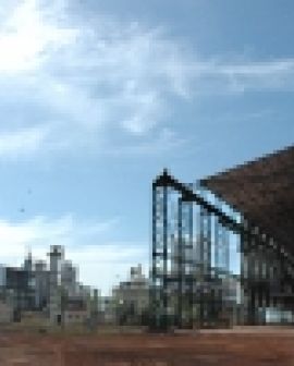 Imagem de Produção de cana deve crescer 10% na safra 2013-14