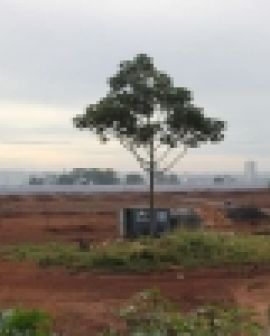 Imagem de UniRV ganhará Centro de Convenções