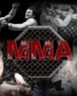 Imagem de Pecuária 2014 contará com lutas de MMA