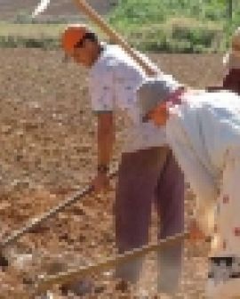 Imagem de Dia do Agricultor - 28 de julho