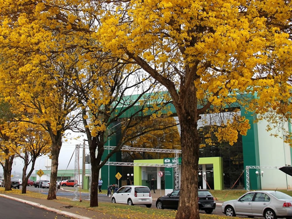 Imagem de Justiça condena UniRV por demitir funcionária durante licença médica
