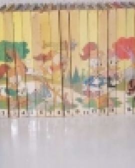 Imagem de Crônicas rio-verdenses: Distribuidora de Revistas Tio Patinhas