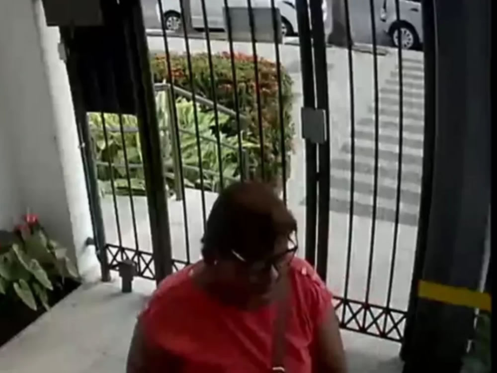 Imagem de Mulher se passa por diarista para furtar joias das clientes