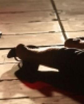 Imagem de Homem assassinado enquanto trabalhava