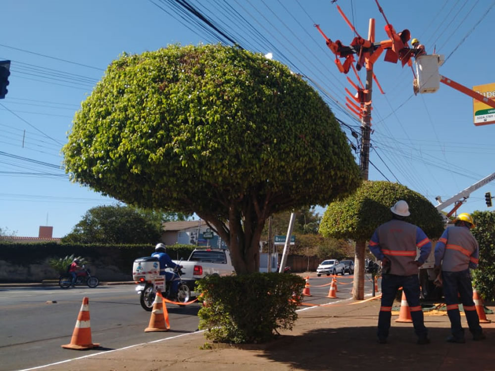 Imagem de Enel Distribuição Goiás realiza mutirão de ações preventivas na rede elétrica de Rio Verde